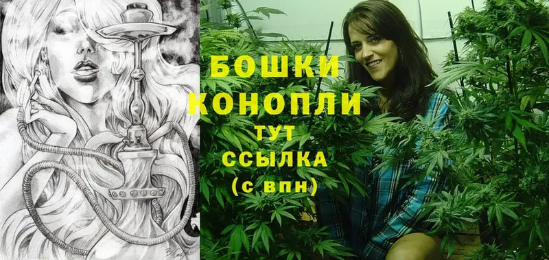 Конопля White Widow  цены   Алзамай 